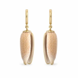 GOLDEN SAND SHELLS
