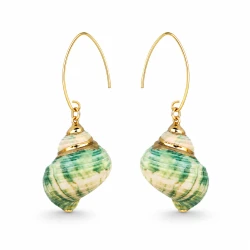 TURQUOISE SEASHELLS 